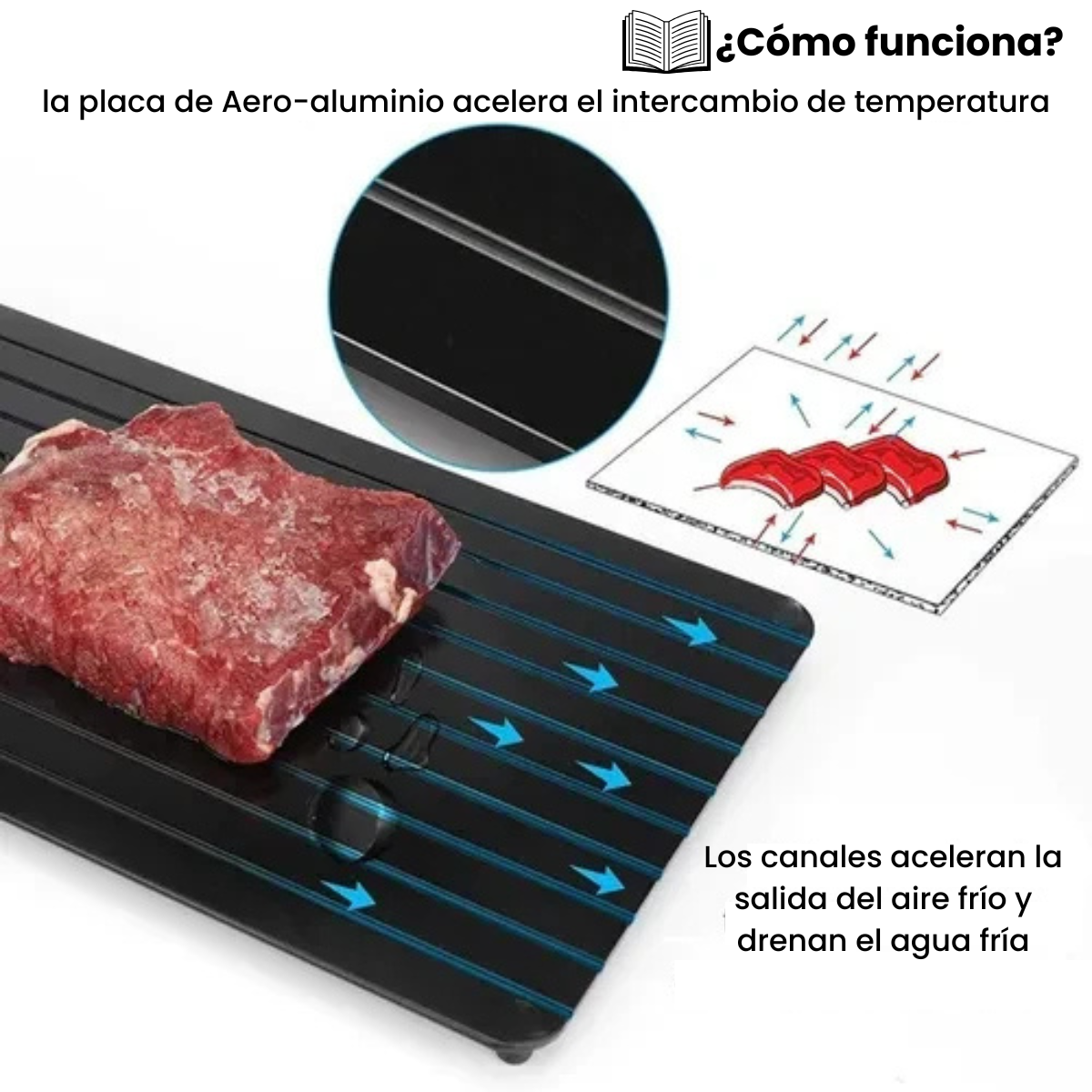 Bandeja Descongelante para Alimentos + Recetario: Ebook Gratuito 🥩🔥